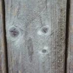 eliminación de moho de suelo de madera