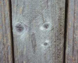 Eliminación de moho del suelo de madera: consejos y métodos seguros