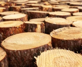 ¿Cual es la mejor opción? Madera RH vs MDF